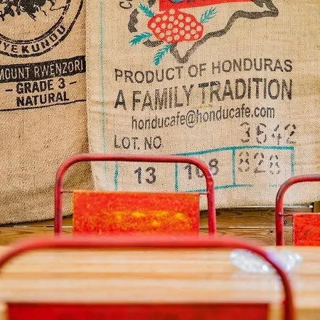 Du Parc 2* Cambo-les-Bains