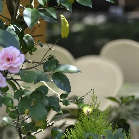 호텔 Du Parc 캄보레방