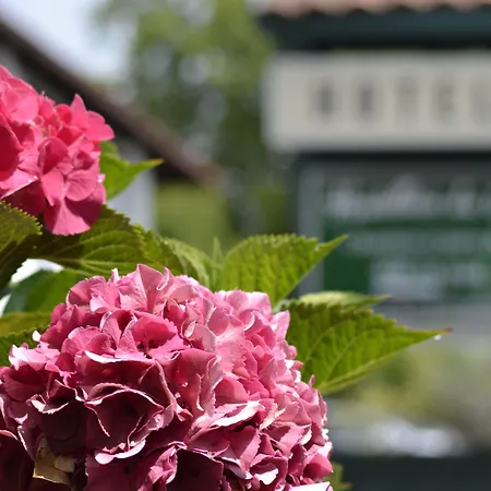 Du Parc Hotel Cambo-les-Bains