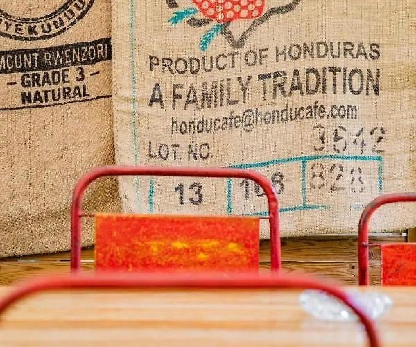 Du Parc 2* Cambo-les-Bains