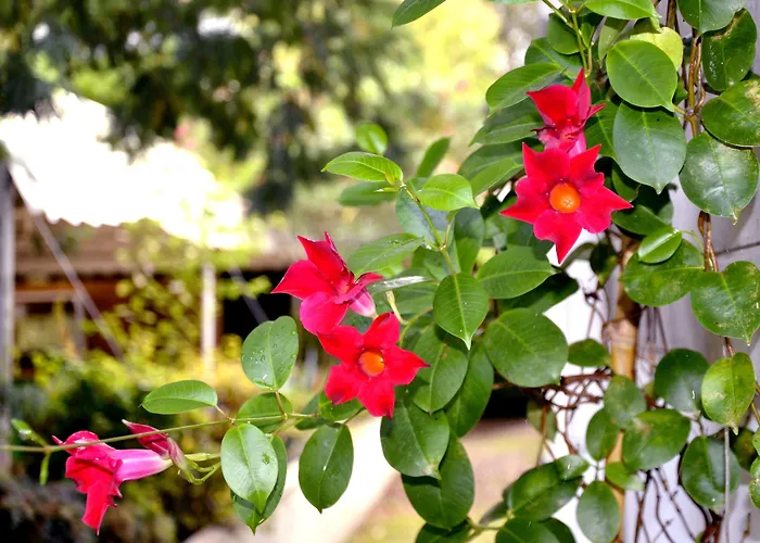 Du Parc 2* Cambo-les-Bains