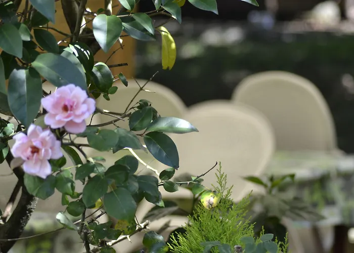 Hotel Du Parc Cambo-les-Bains