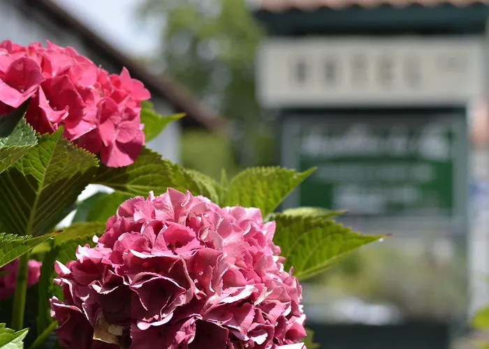 Du Parc Hotel Cambo-les-Bains
