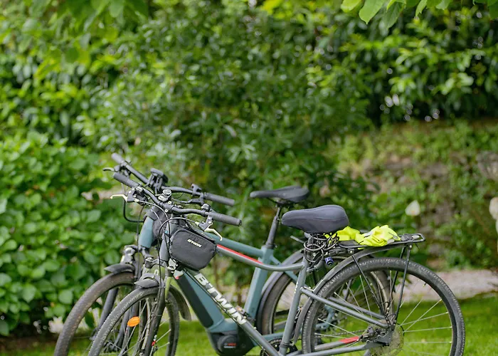 Du Parc Hotel Cambo-les-Bains