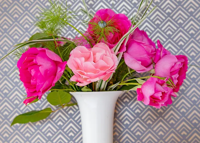 Du Parc 2* Cambo-les-Bains